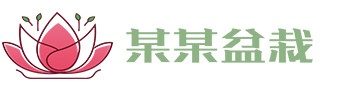 完美电竞•(中国)电子竞技-Perfect Esports